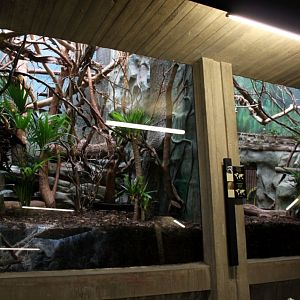 ZOO Antwerpen - Monkey House (Tamarin/marmoset)
