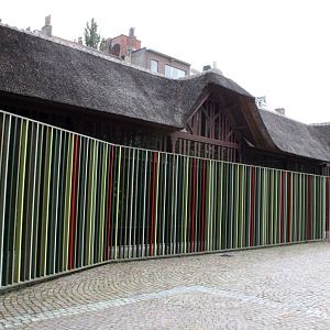 ZOO Antwerpen - Congo Peafowl Breeding Centre