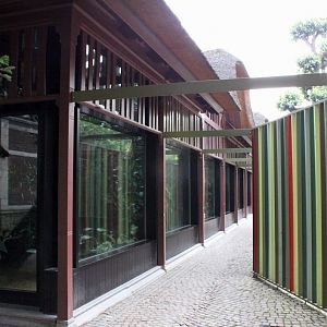ZOO Antwerpen - Congo Peafowl Breeding Centre