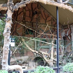 ZOO Antwerpen - Porcupine exhibit