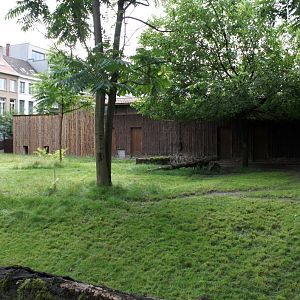 ZOO Antwerpen - Okapi Breeding Centre