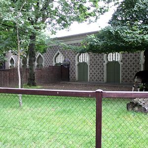 ZOO Antwerpen - Okapi Breeding Centre