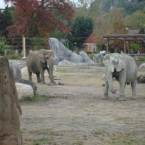 Jo and Moshi in the Savannah Range