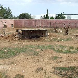 Brown bear enclosure