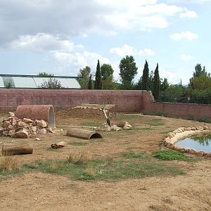Brown bear enclosure