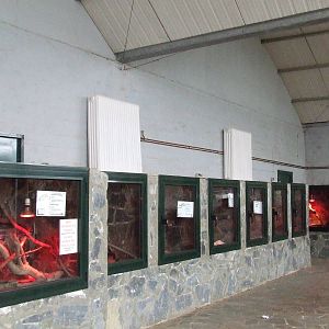 Reptile House