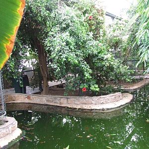 Crocodile pool inside Reptile House