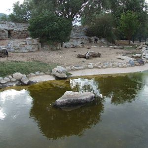 Penguin enclosure