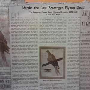 Passenger Pigeon Memorial