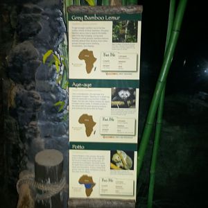 Jungle Trails Signs