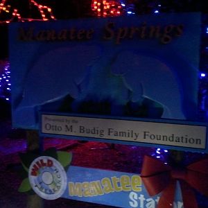 Manatee Springs Logo