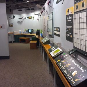 World of the Insect-Leaf-cutter Ant exhibit