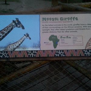 Festival of Lights 2011-Giraffe Ridge Sign