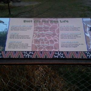 Dec. 2011-Giraffe Ridge Sign