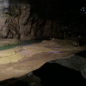 Dec. 2011-Lords of the Arctic-2nd Polar bear exhibit