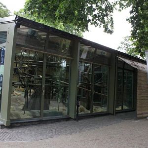 ZOO Antwerpen - Ape House (Chimpanzee)