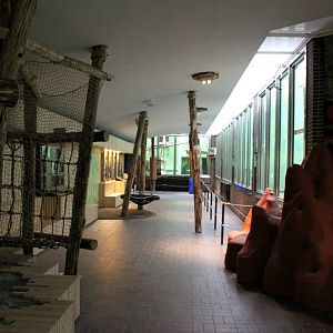 ZOO Antwerpen - Ape House