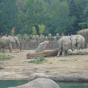 Savannah Range & Residents
