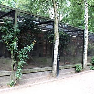 ZOO Antwerpen - Small Bird House