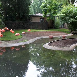 ZOO Antwerpen - Small Bird House (Flamingos)