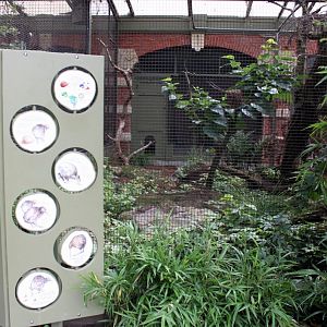ZOO Antwerpen - Small Bird House (Kiwi)