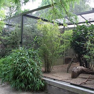 ZOO Antwerpen - Small Bird House
