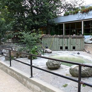 ZOO Antwerpen - Penguin exhibit