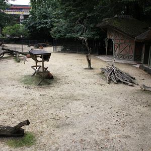 ZOO Antwerpen - Dybowski deer exhibit