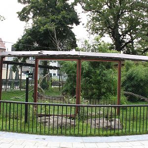 ZOO Antwerpen - Lemur exhibit