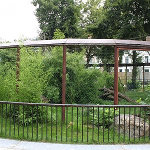 ZOO Antwerpen - Lemur exhibit