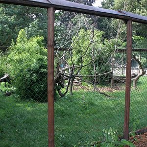 ZOO Antwerpen - Lemur exhibit