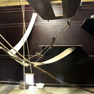 ZOO Antwerpen - Lemur exhibit