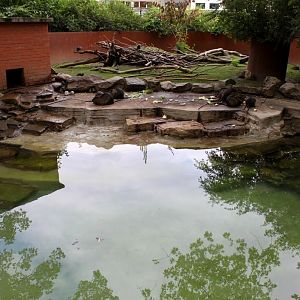 ZOO Antwerpen - Nutria exhibit