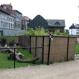 ZOO Antwerpen - Extension area (Rabbits/wallaby)