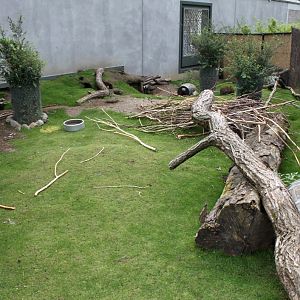 ZOO Antwerpen - Extension area (Rabbits)