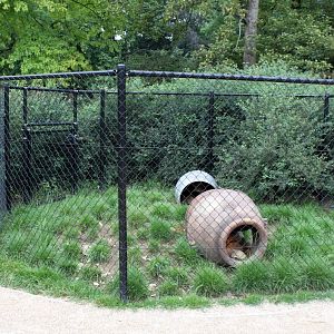 ZOO Antwerpen - Extension area (Tortoises)