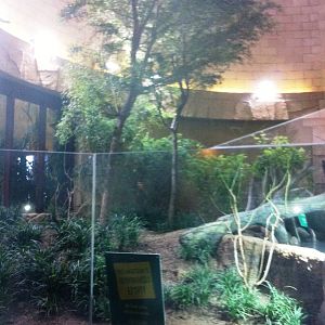 New Exhibit Jaguar House 27/12/11