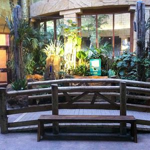 New Bridge and Leaf Cutter Ant Exhibit Jaguar House 27/12/11