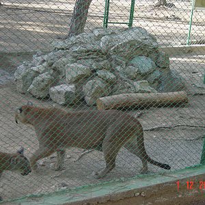 Antalya Zoo
