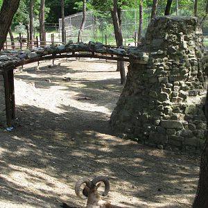 Tbilisi Zoo