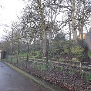 Chinese goral enclosure at Edinburgh Zoo 28/12/11