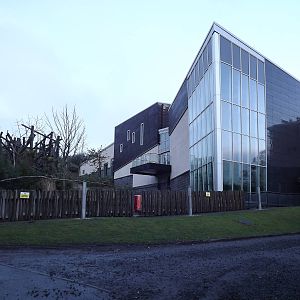 Budongo trail at Edinburgh Zoo 28/12/11
