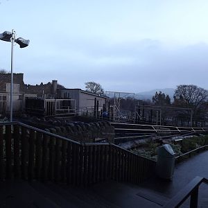 Indian rhino enclosures at Edinburgh Zoo 28/12/11