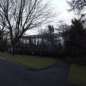 Buff cheeked gibbon enclosure at Edinburgh Zoo 28/12/11
