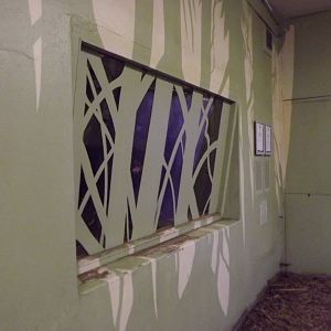 Cassowary viewing at Edinburgh Zoo 28/12/11