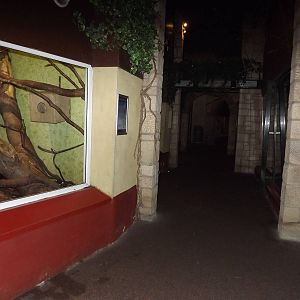 Magic forest at Edinburgh Zoo 28/12/11