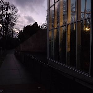 Budongo trail at Edinburgh Zoo 28/12/11