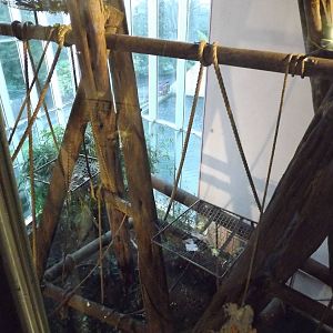 Indoor chimpanzee enclosure at Edinburgh Zoo 28/12/11