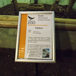Koala sign at Edinburgh Zoo 28/12/11