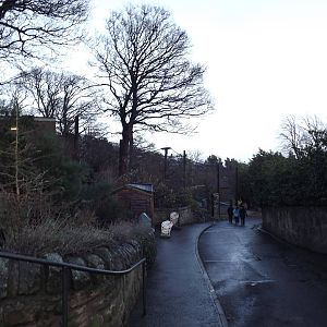 General view at Edinburgh Zoo 28/12/11
